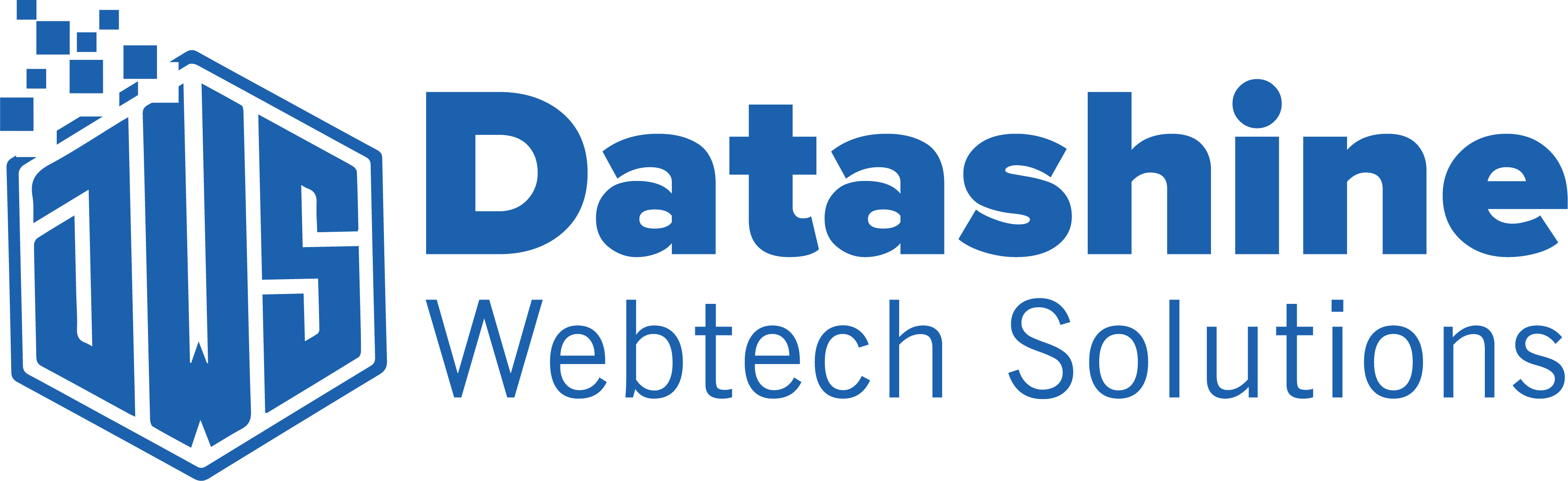 Datashine Web Tech Solutions
